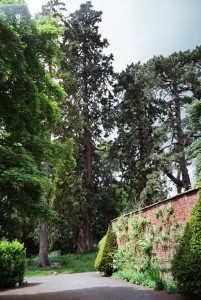 Combermere Walled Garden